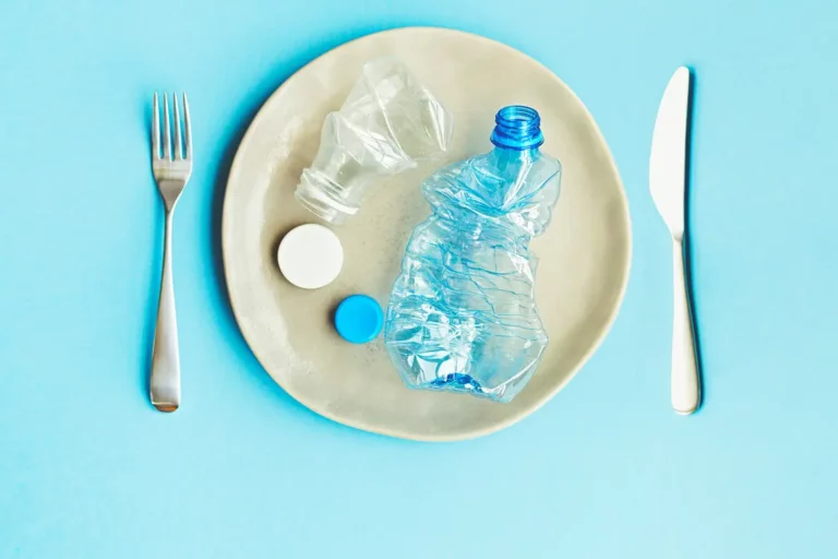 Can Swallowing a Small Piece of Plastic Kill You? Real Risks and Consequences