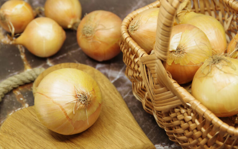 Why Do People Hate Onions? The Mystery of Onion Aversion
