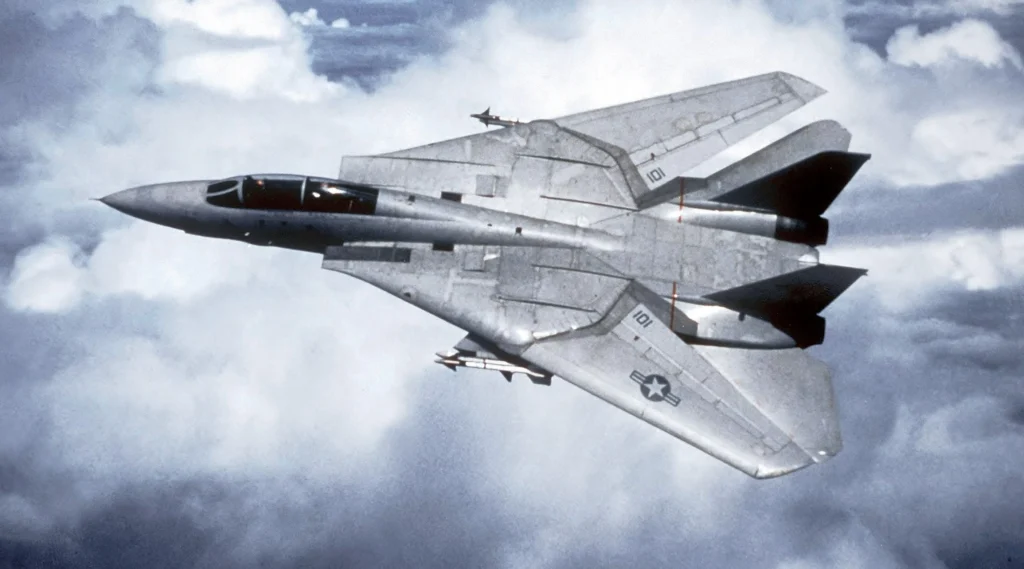 What is the Origin of the F-14 Tomcat