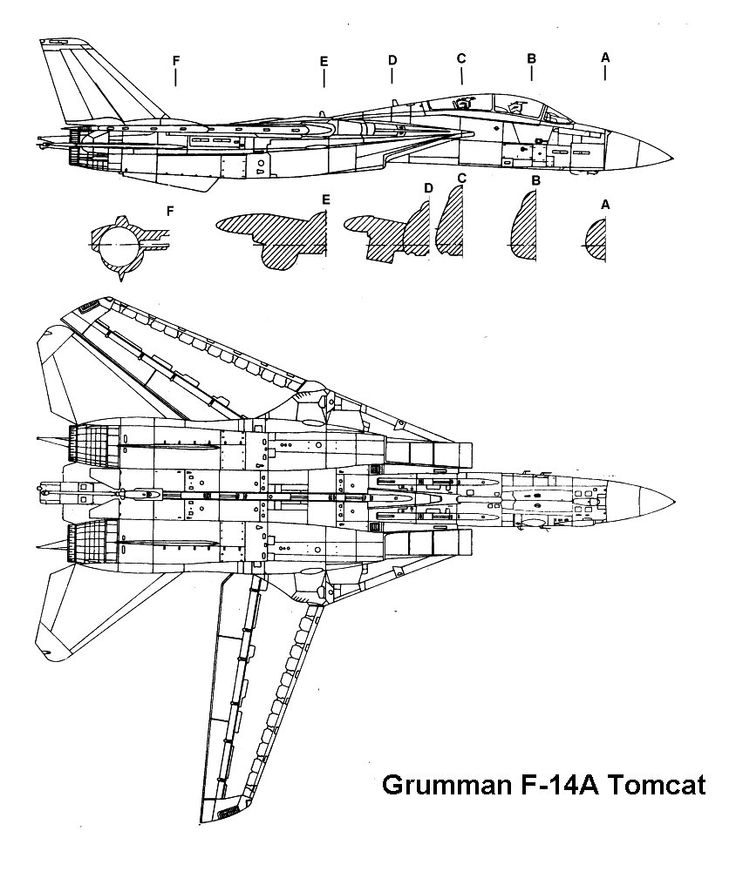 What are the Design and Features of the F-14 Tomcat