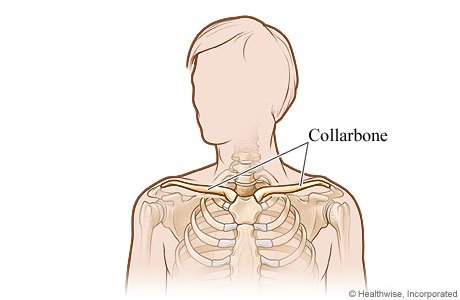 What is the Anatomy of the Collar Bone